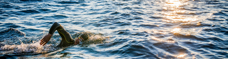 Open water swimmer